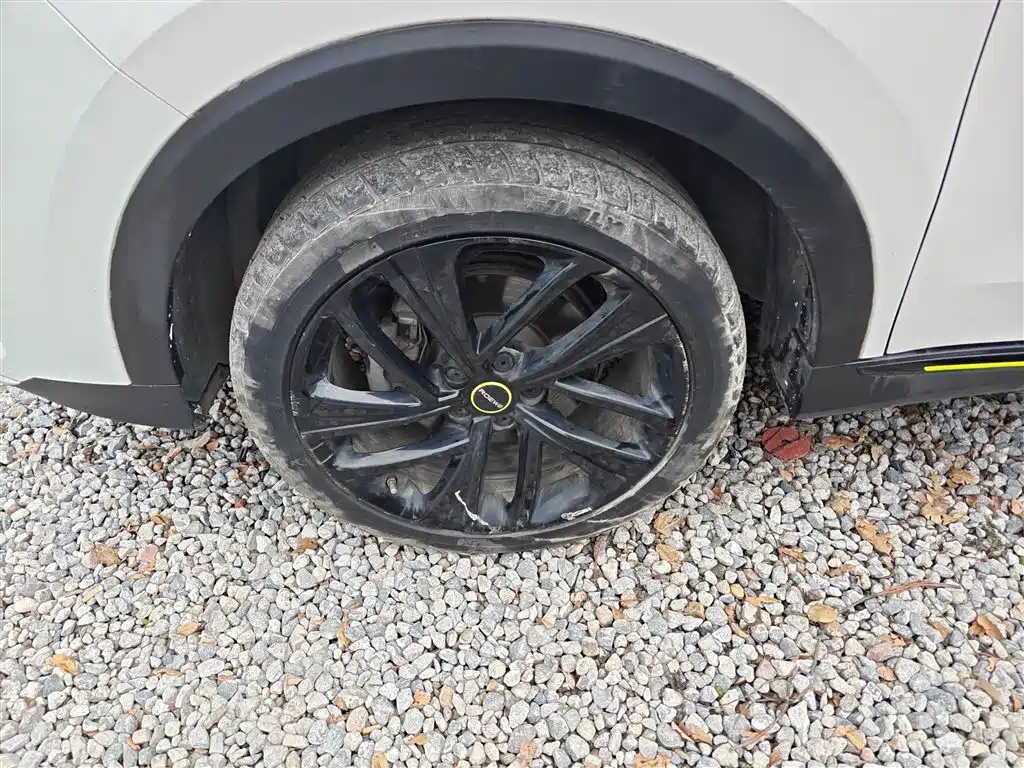 Roewe RX5 New Energy 2021 — фото 23
