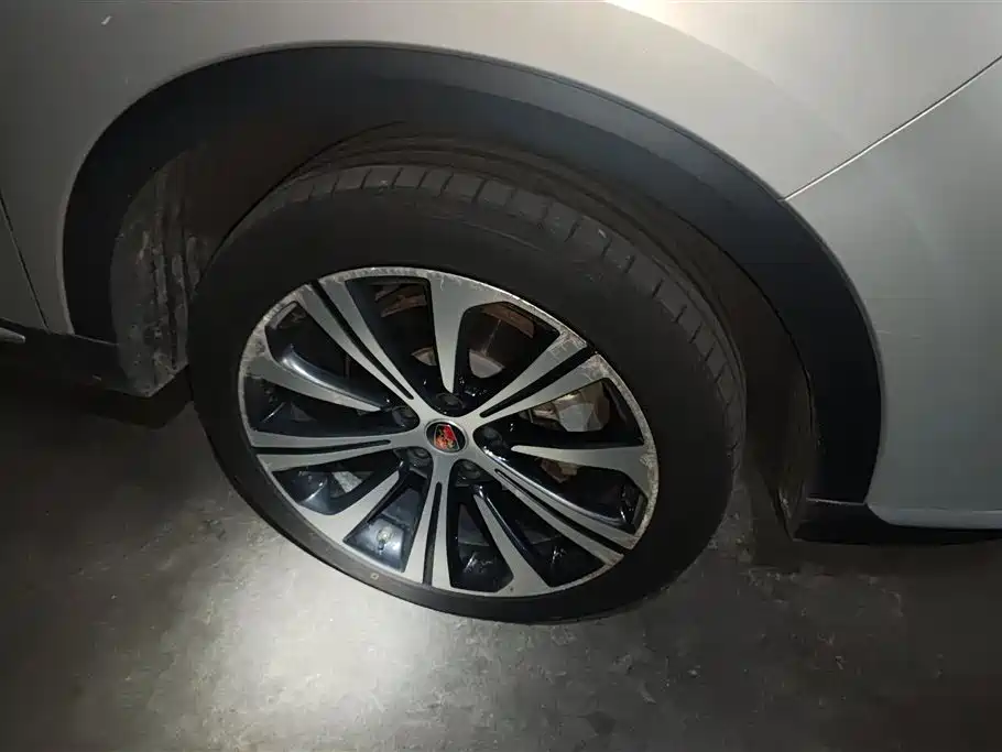 Roewe RX5 eMAX 2021 — фото 6