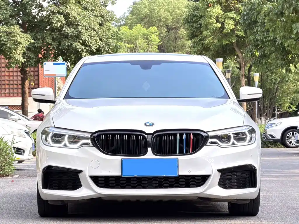 BMW 5 Series 2019