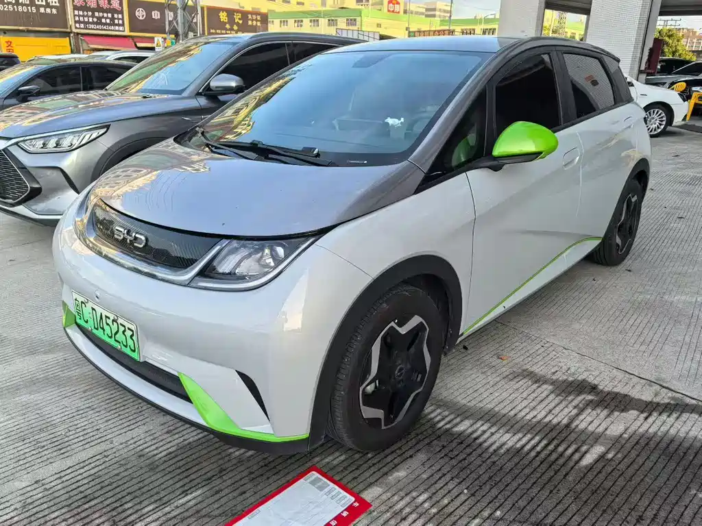 BYD Dolphin 2022