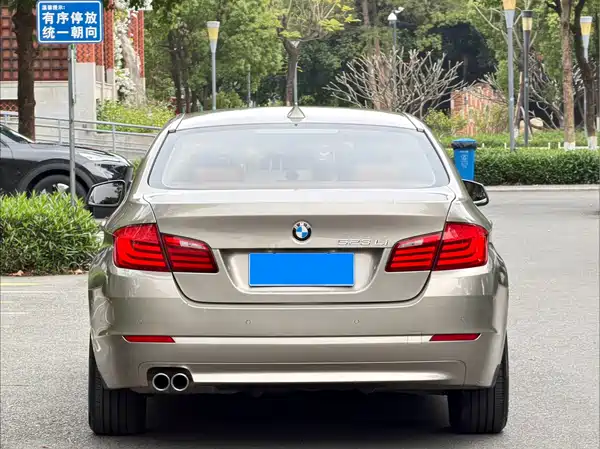 BMW 5 Series 2010