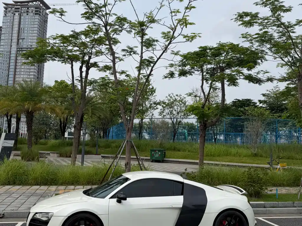 Audi R8 2009