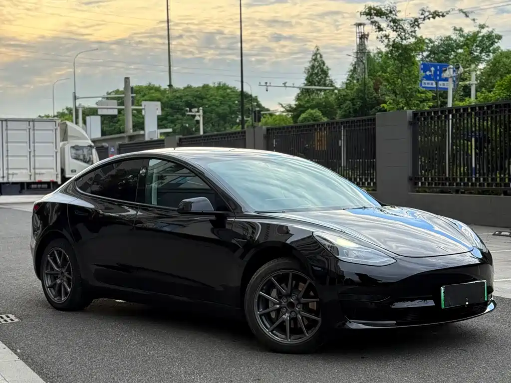 Tesla Model 3 2023 — фото 2