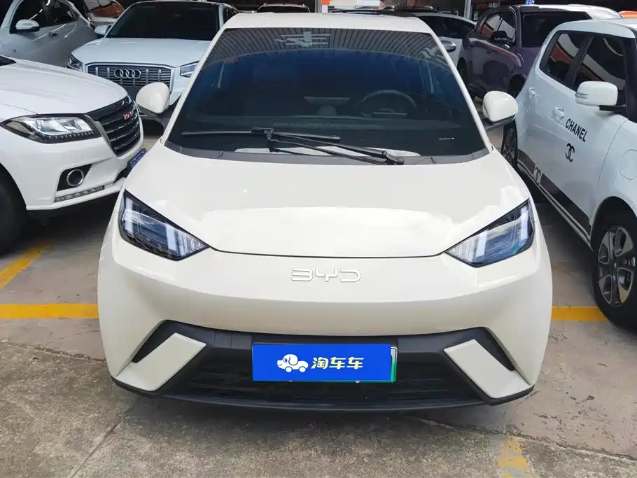 BYD Seagull 2024