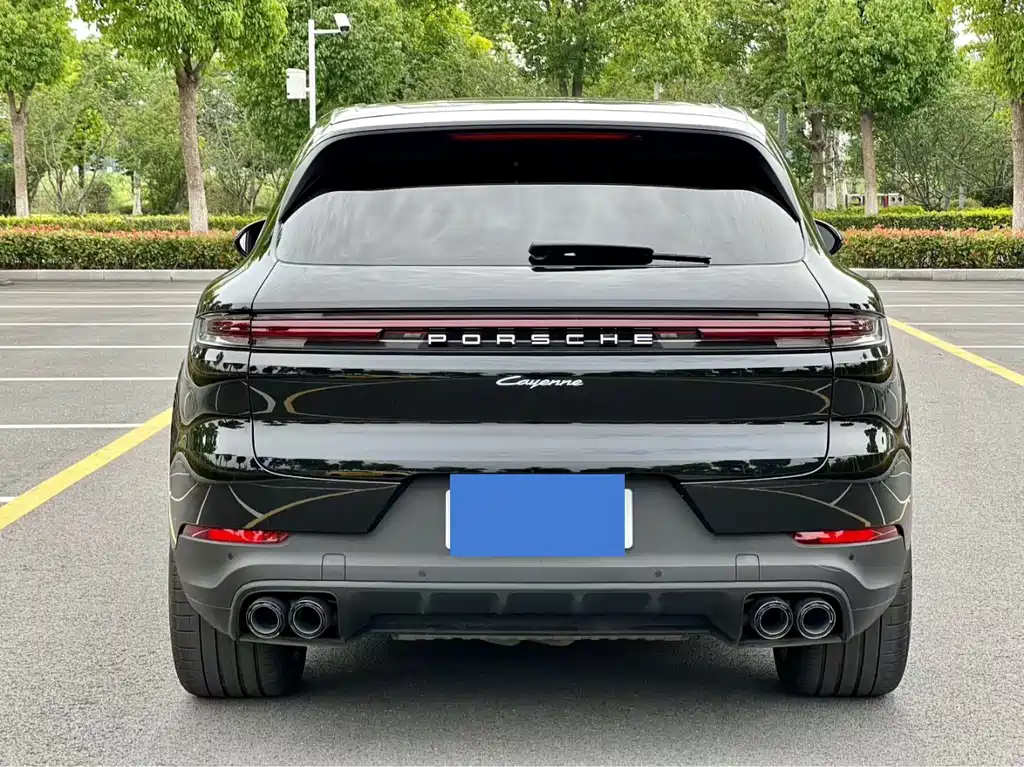 Porsche Cayenne 2024 — фото 14