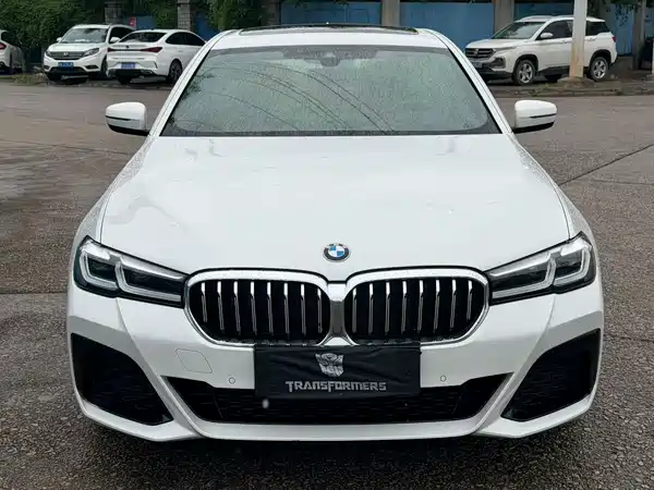 BMW 5 Series New Energy 2021