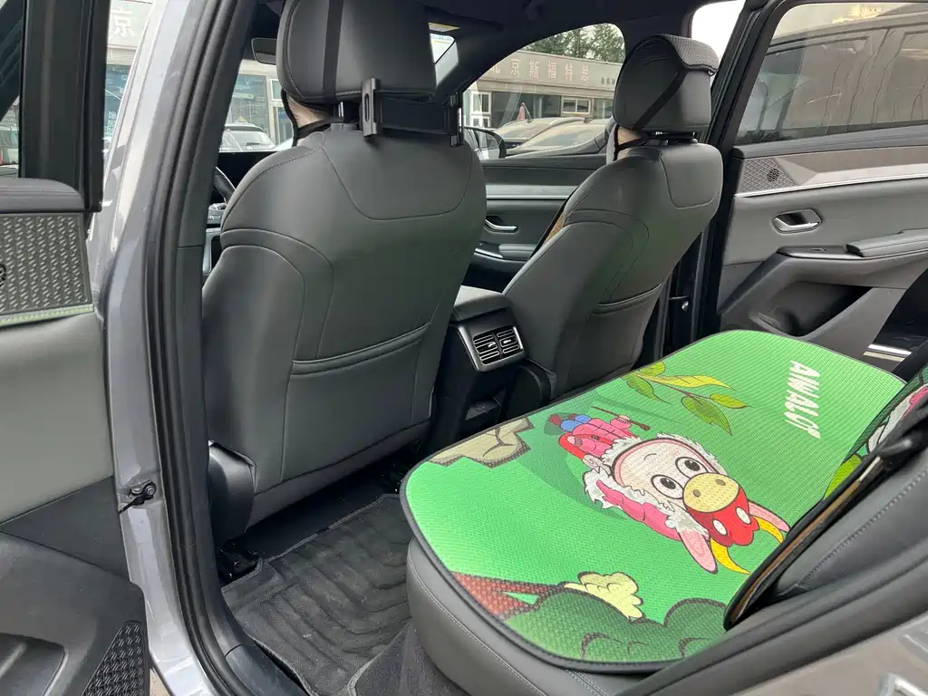 BYD Song Pro New Energy 2025 — фото 12