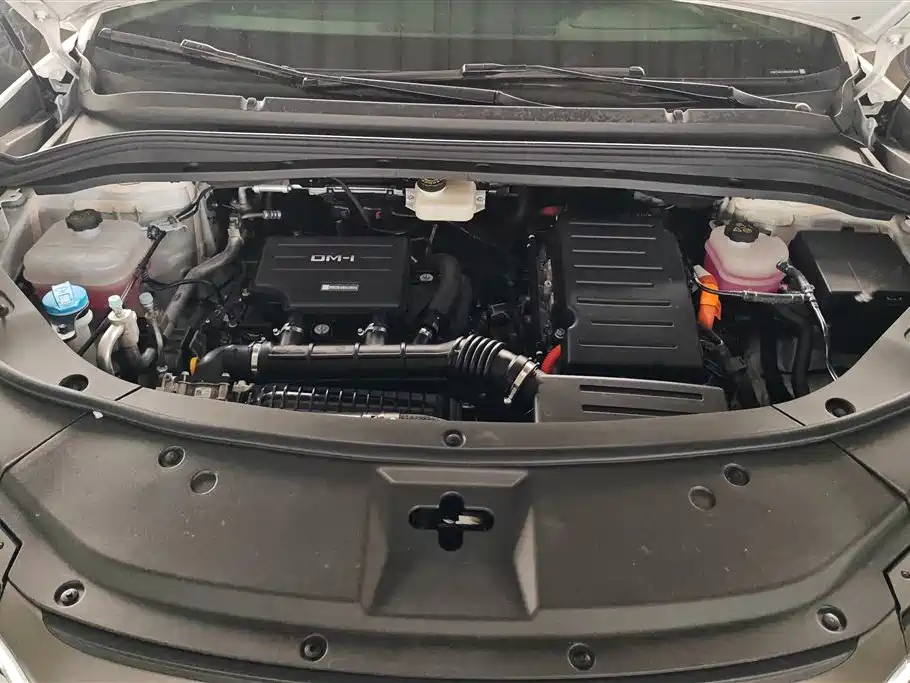 BYD L DM-i 2024 — фото 10