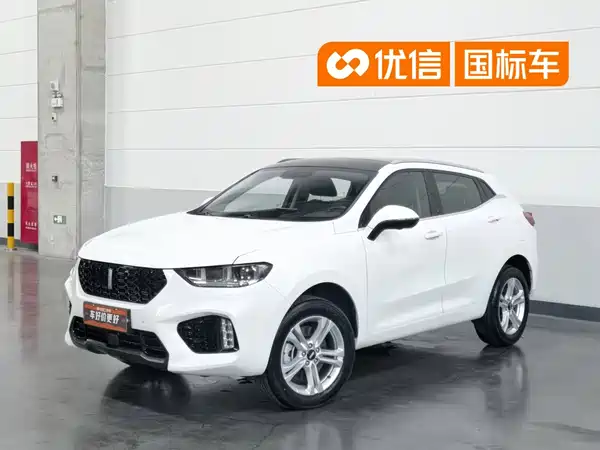Wey VV5 2019