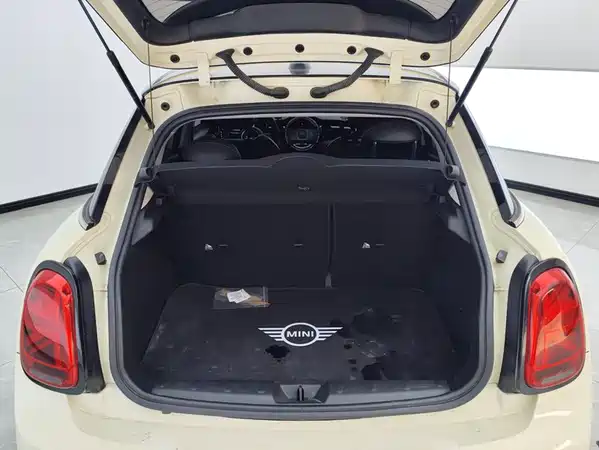MINI 2022