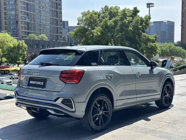 Audi Q2L 2022