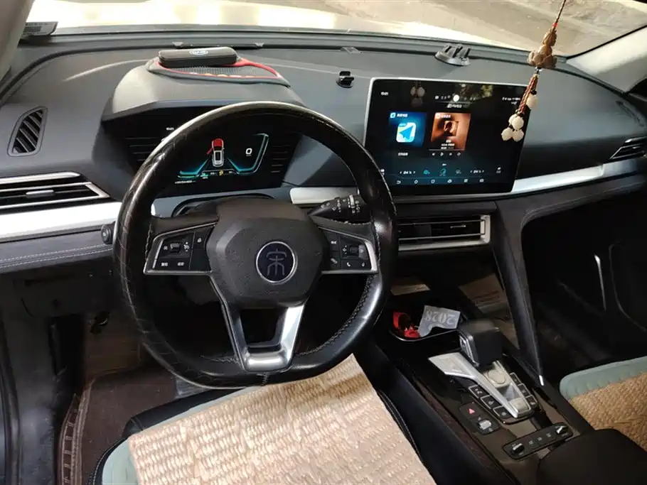BYD Pro New Energy 2020 — фото 12