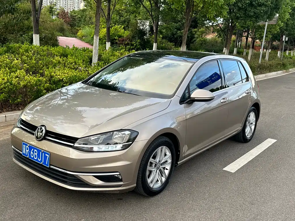 Volkswagen Golf 2019 — фото 1