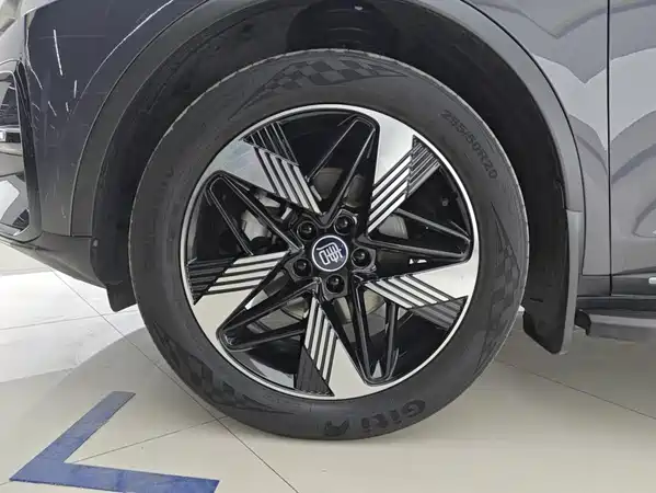 BYD Tang New Energy 2024