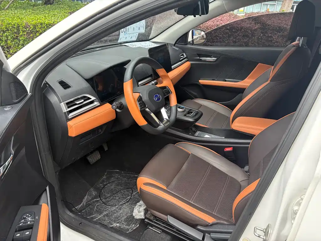BYD e2 2020
