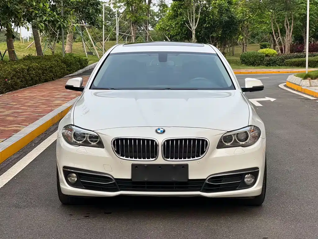 BMW 5 Series 2014 — фото 2