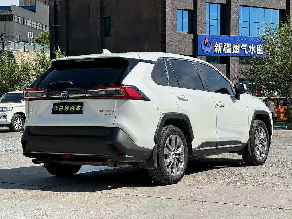 Toyota Wildlander 2021