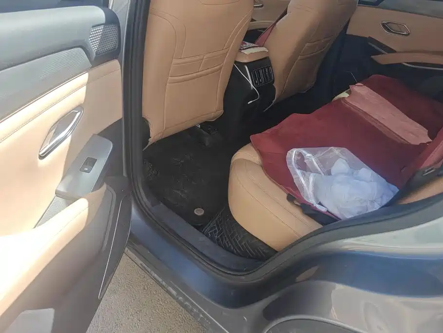 BYD Song L DM-i 2024 — фото 11
