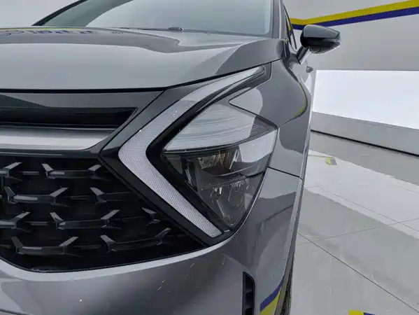 Kia Lion Platinum Expands The Boundary 2024