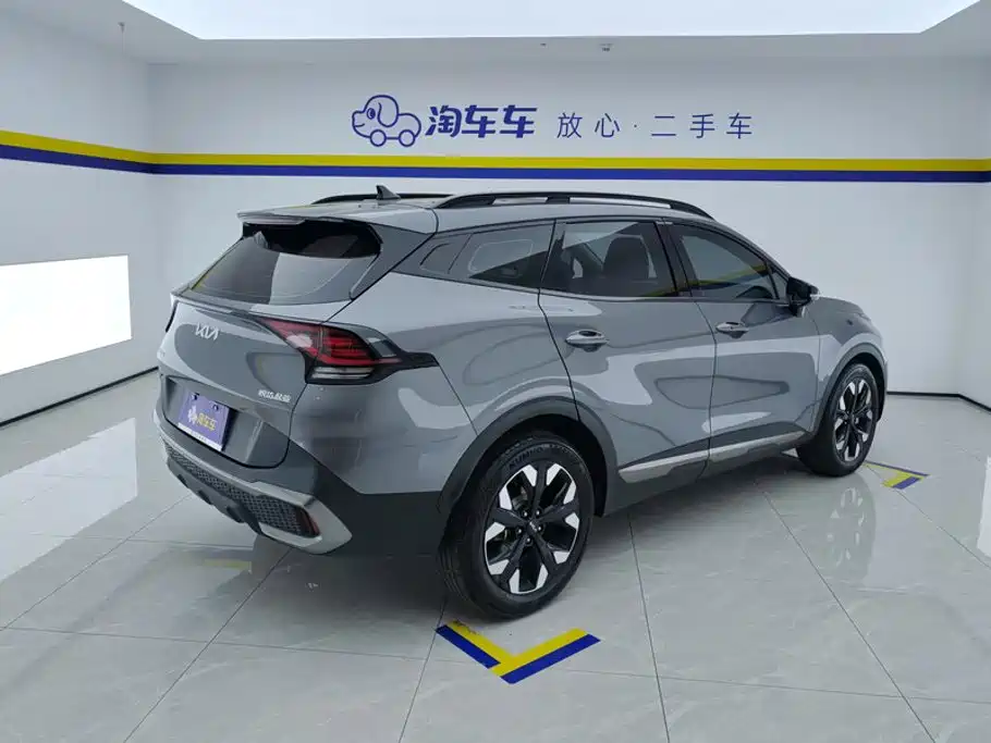 Kia Lion Platinum Expands The Boundary 2024 — фото 3