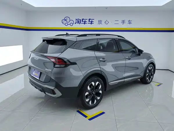 Kia Lion Platinum Expands The Boundary 2024