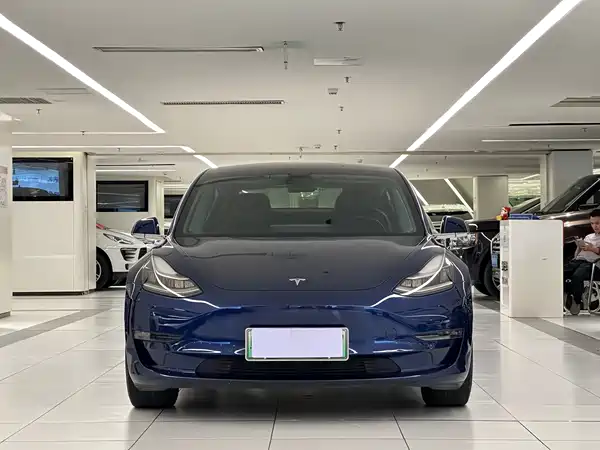 Tesla Model 3 2019