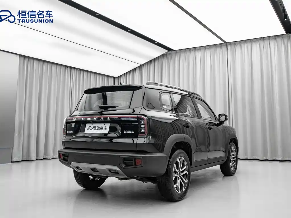Haval Big Dog 2024 — фото 4