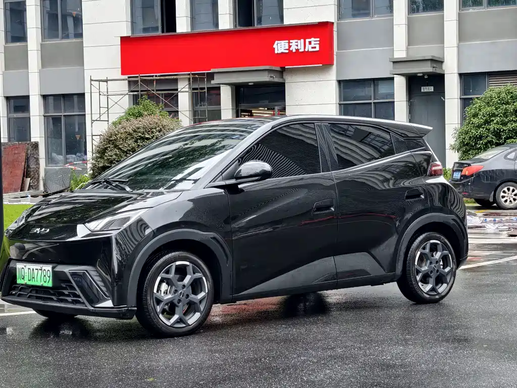 BYD Seagull 2024 — фото 1