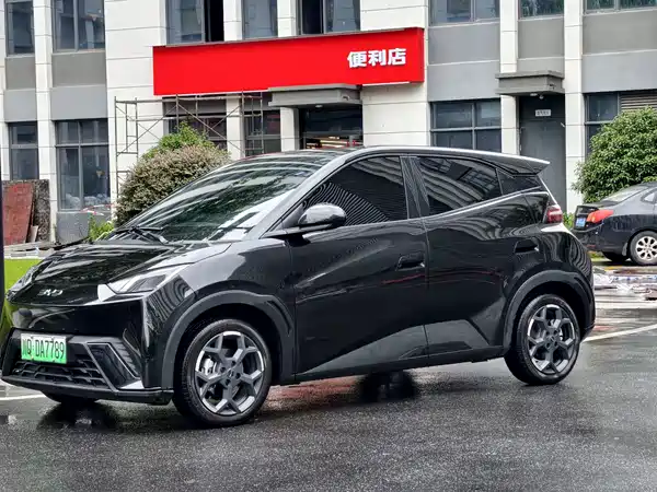 BYD Seagull 2024