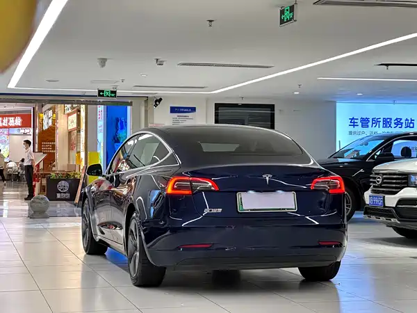 Tesla Model 3 2019
