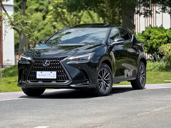 Lexus NX New Energy 2021