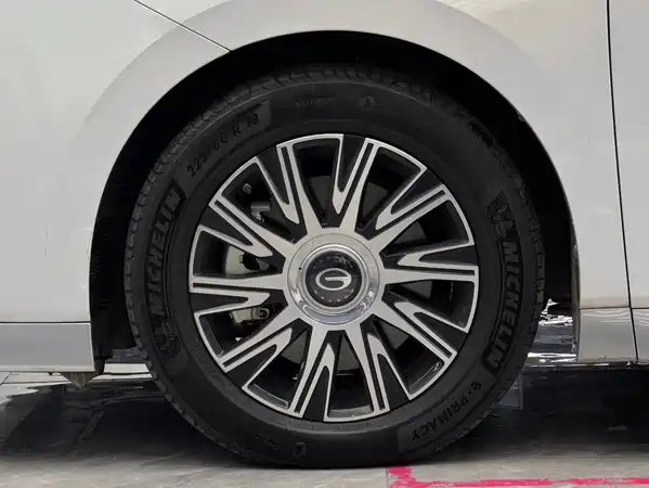 GAC Trumpchi E9 2024