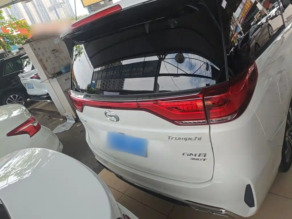 GAC Motor Trumpchi M8 2020 — фото 6