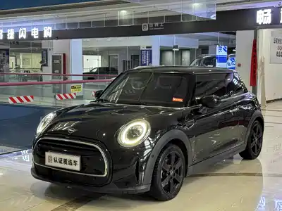 MINI MINI 2024