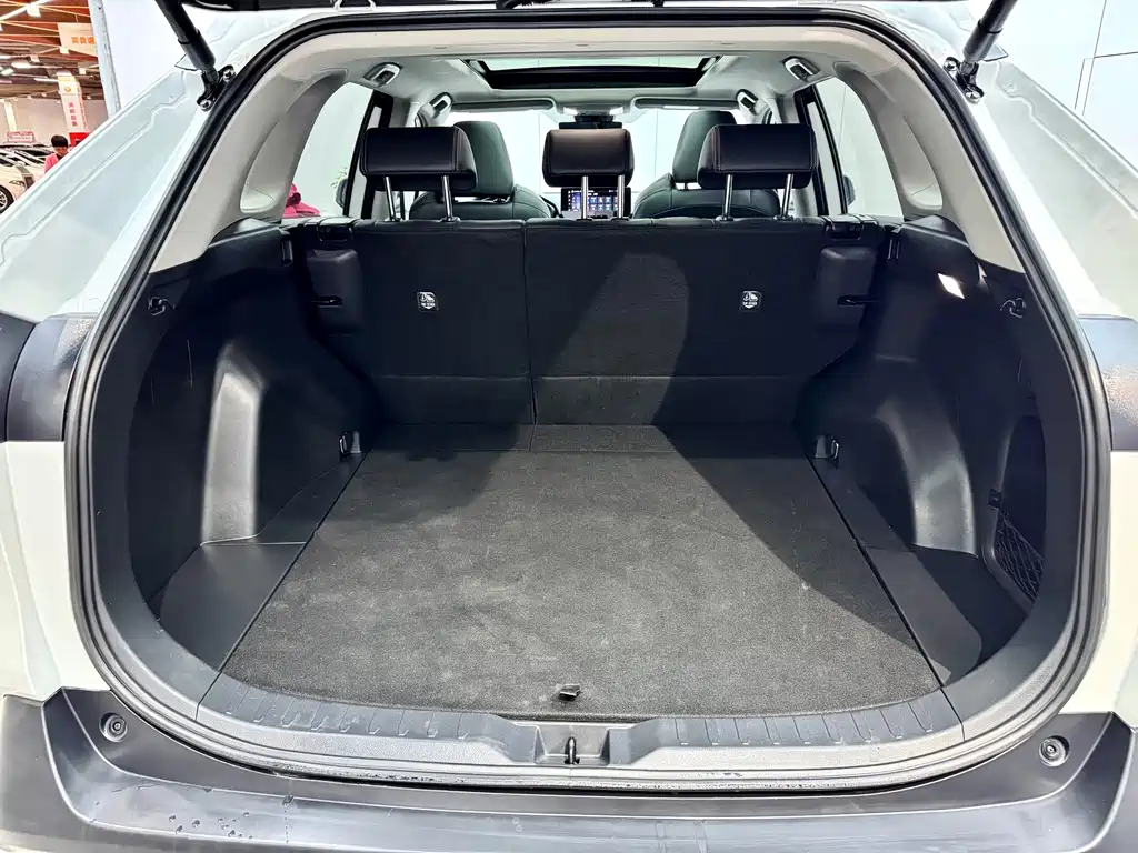 Toyota Wildlander 2023 — фото 24