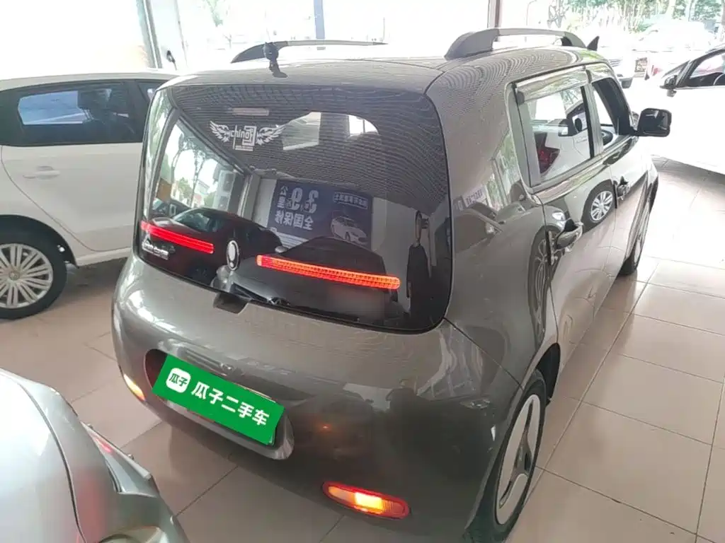 Ora White Cat 2022