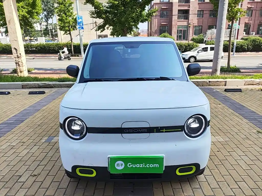 Geely Galaxy Panda 2025
