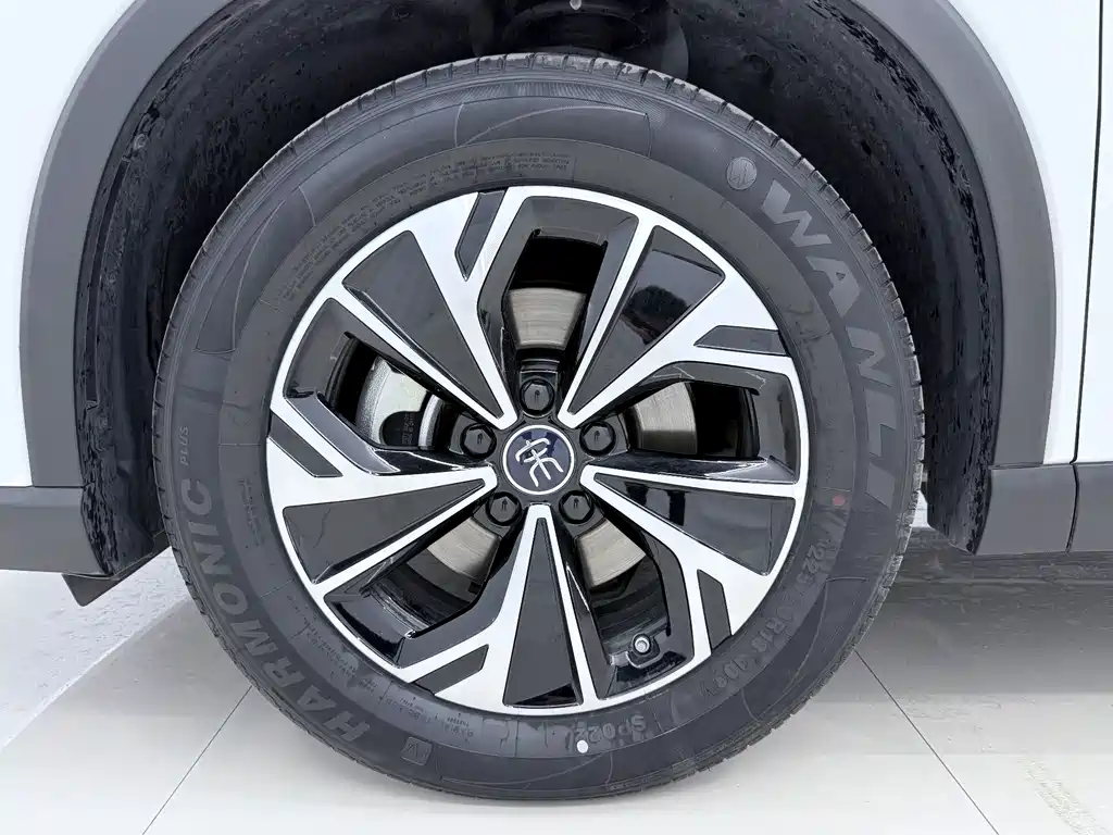 BYD Song Pro New Energy 2025 — фото 17