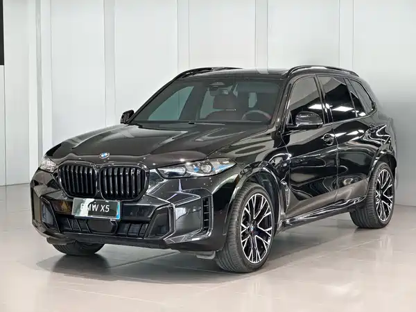 BMW X5 2024