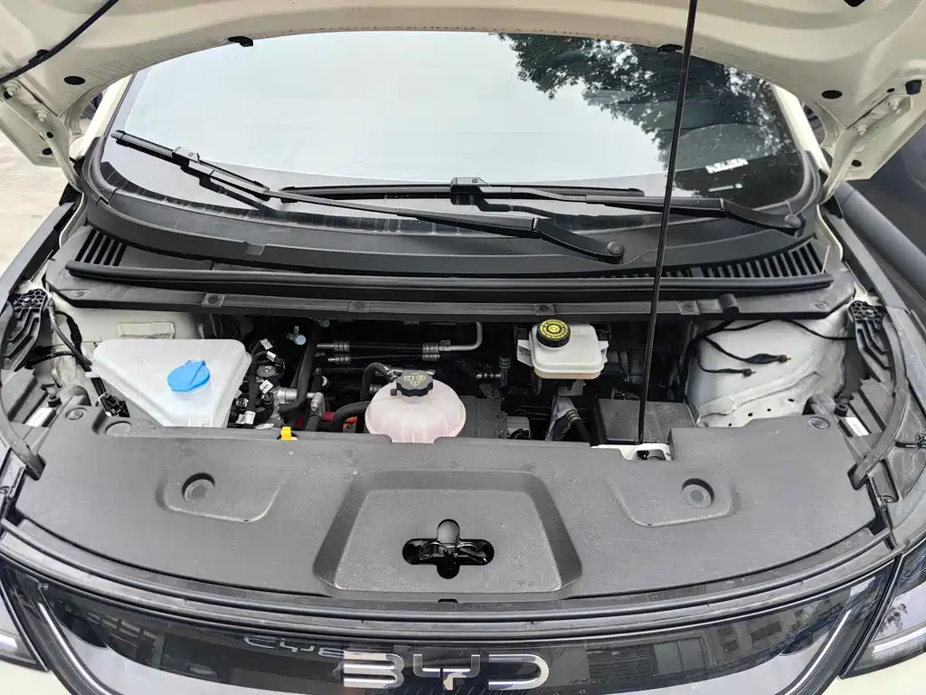 BYD Dolphin 2025