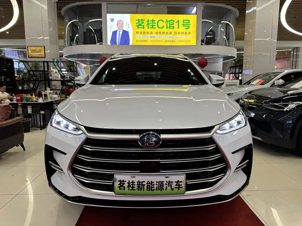 BYD Tang New Energy 2024 — фото 2