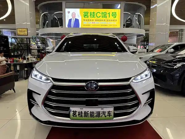 BYD Tang New Energy 2024
