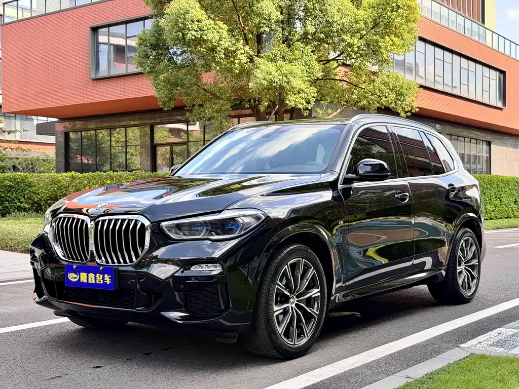 BMW X5 New Energy 2021 — фото 1