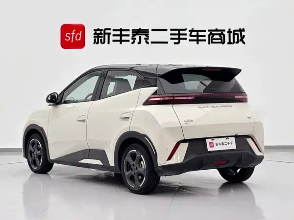 BYD Seagull 2024