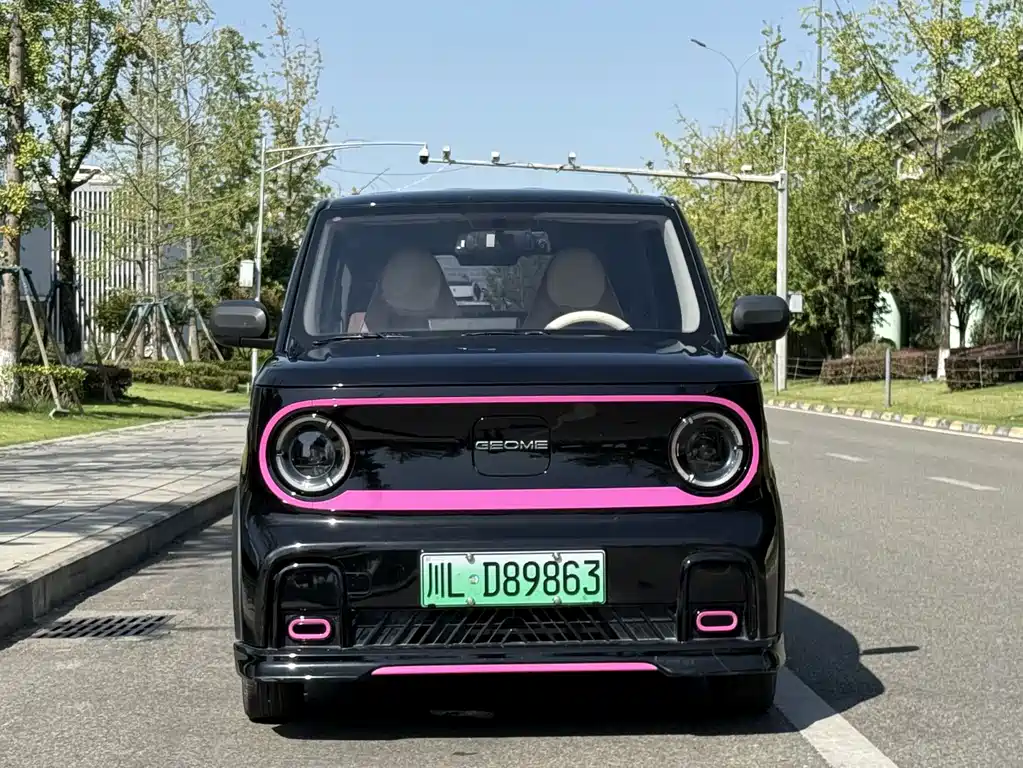 Geely Galaxy Panda 2024