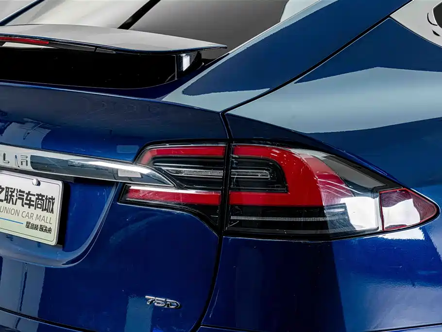 Tesla Model X 2019 — фото 9