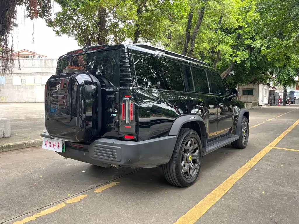 Shanhai Traveller C-DM 2025 — фото 4