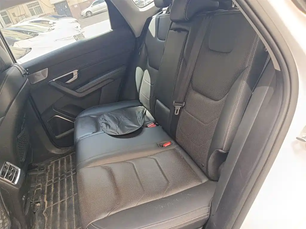 BYD Pro New Energy 2020 — фото 13