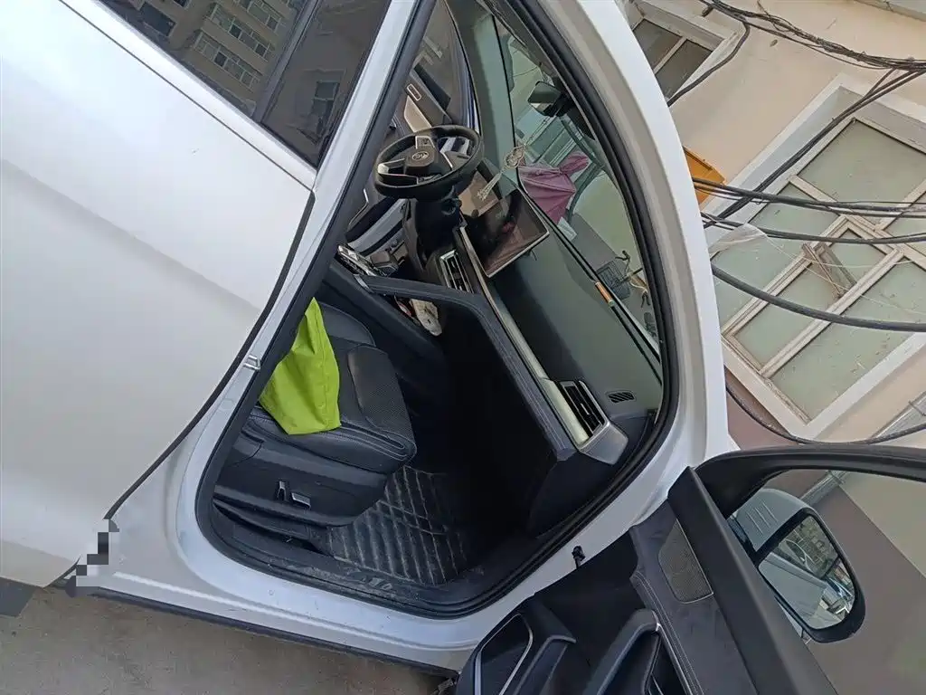 BYD Pro New Energy 2020 — фото 21