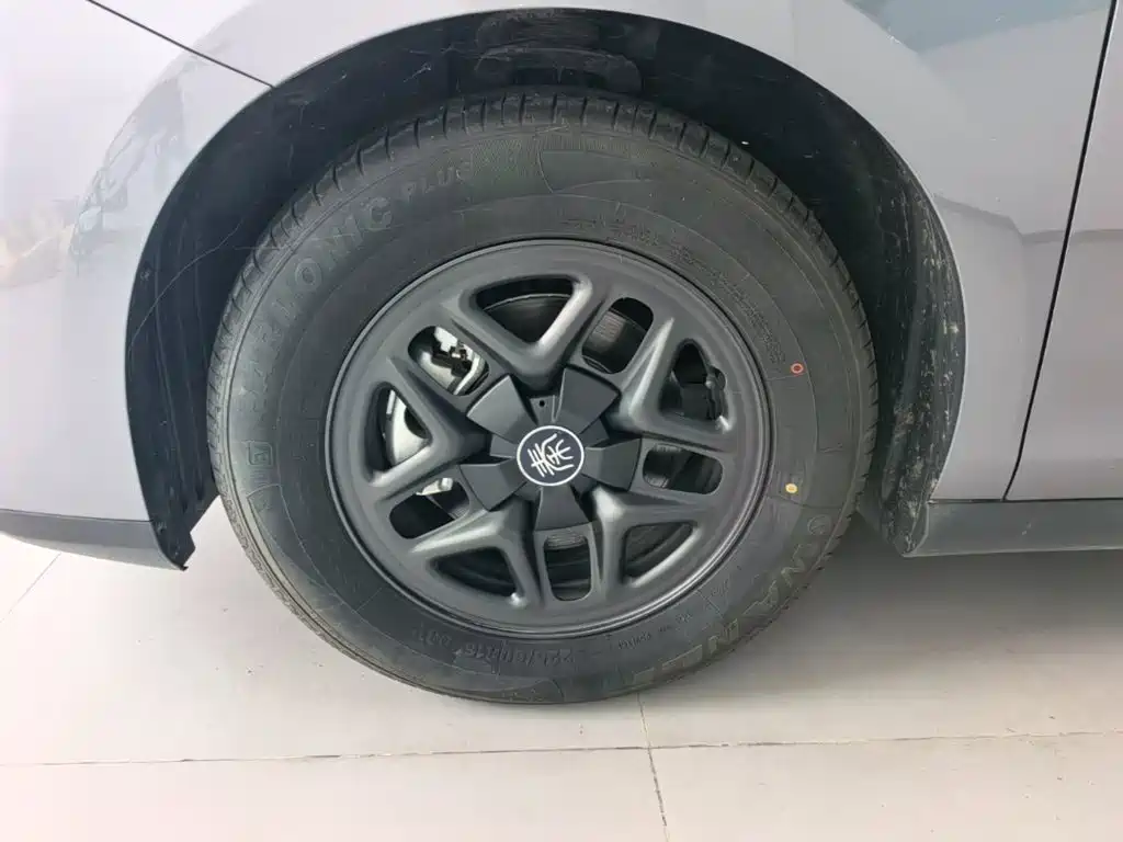 BYD Qin PLUS 2025 — фото 23